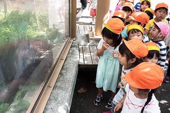 写真：年中少秋のバス遠足
