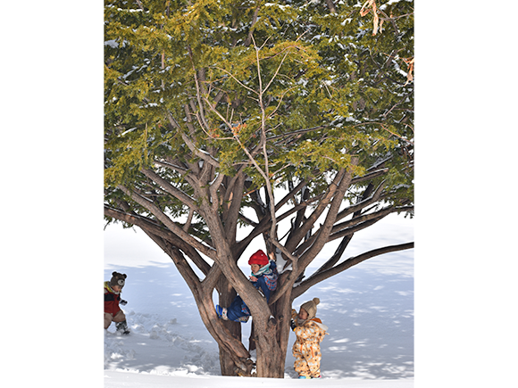 写真：雪遊び