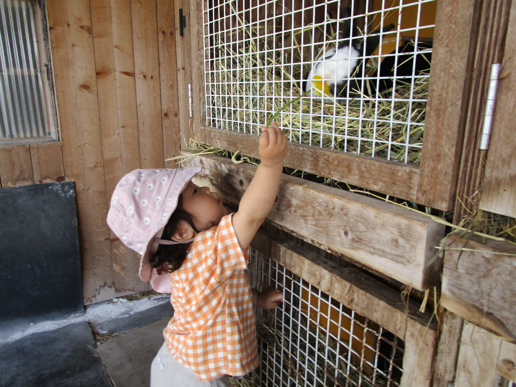 写真：設定保育