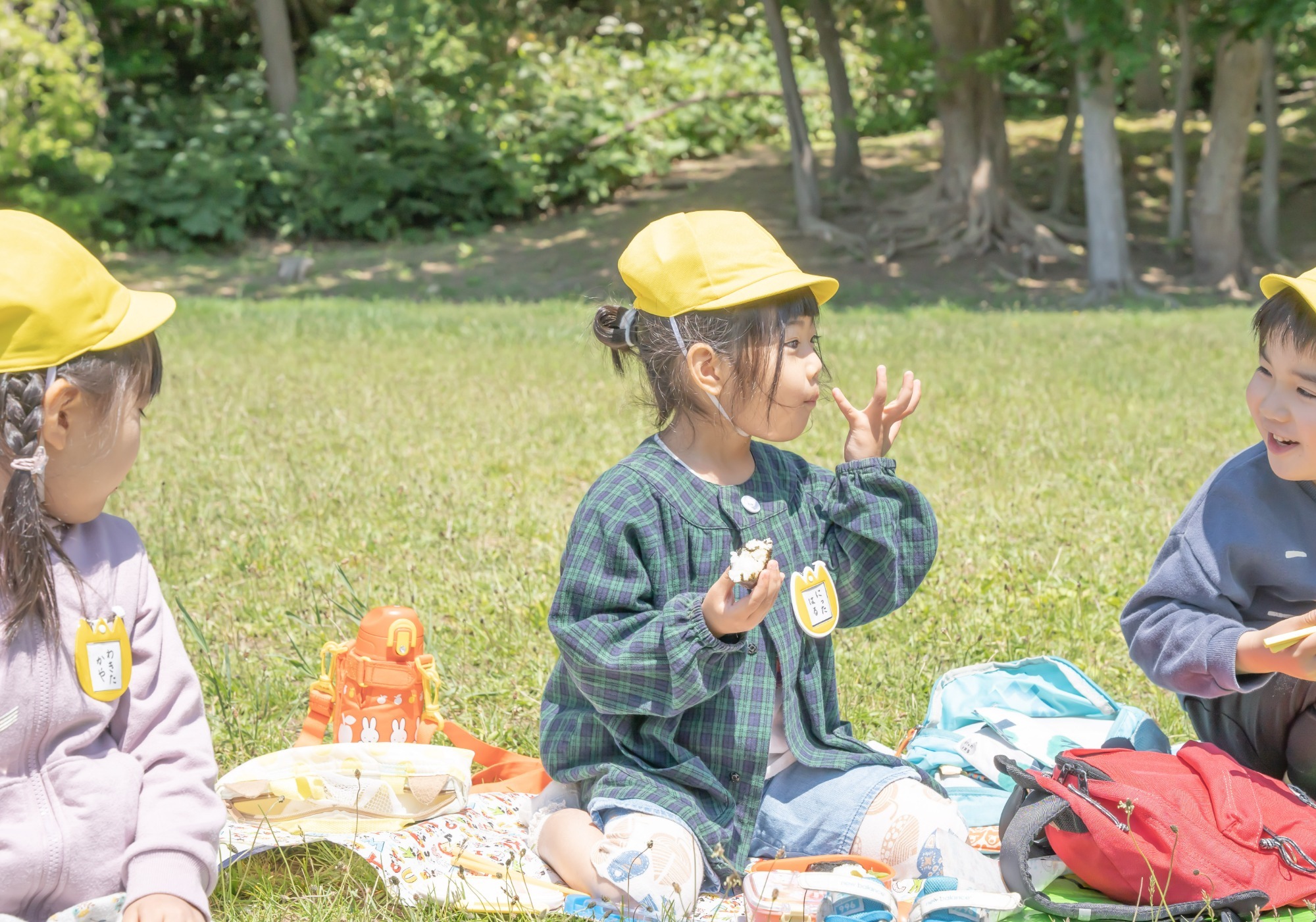 写真：春の遠足