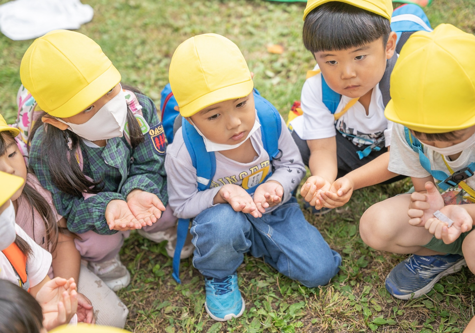 写真：年長秋のバス遠足