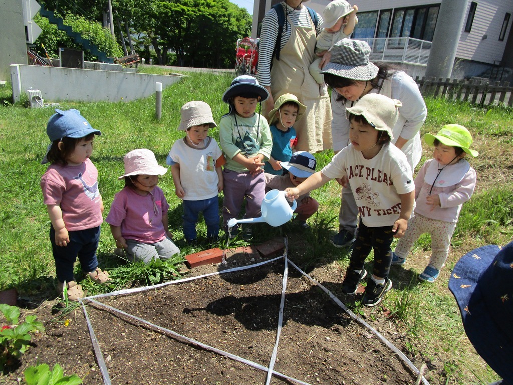 写真：外遊び