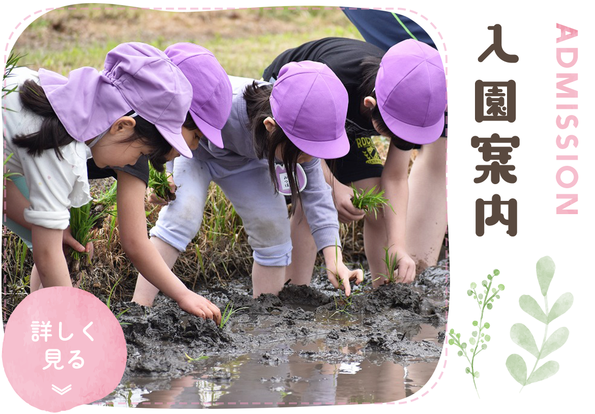 入園案内　ADMISSION